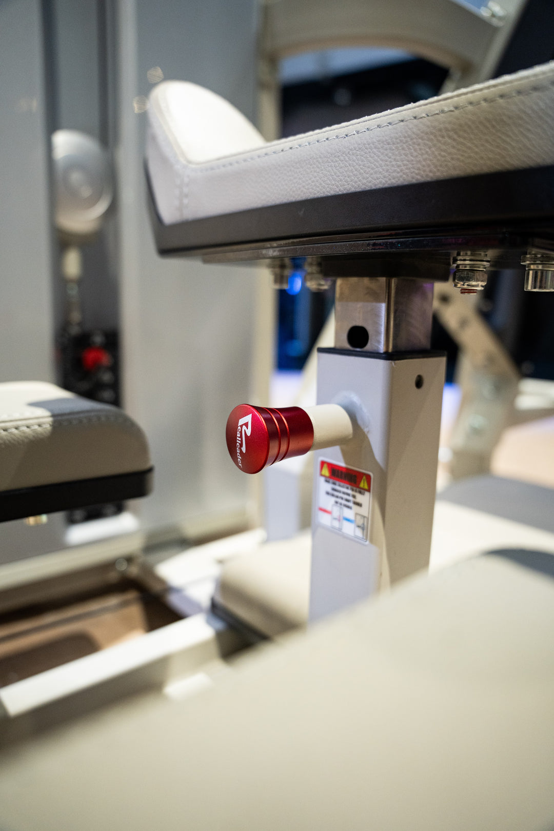 Kneeling Glute Kickback · Vista 5