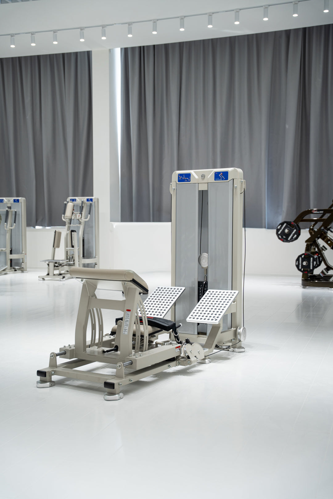 Selectorised Hip Thrust · Vista 8